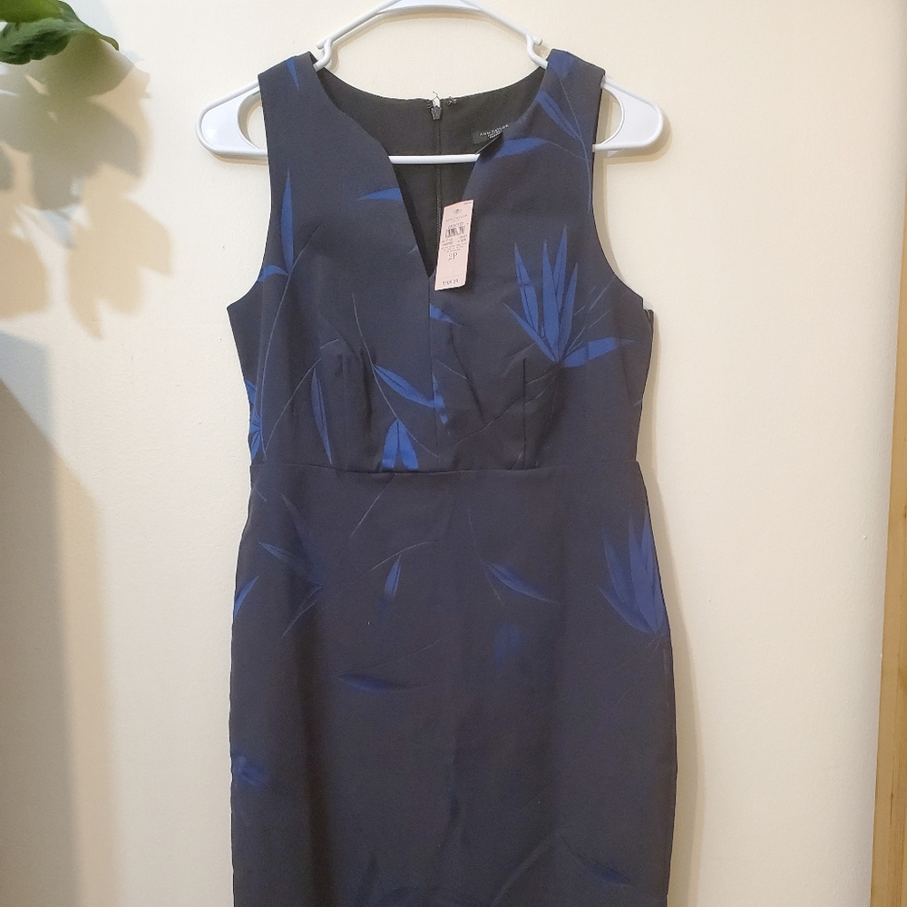 Ann Taylor - size 2